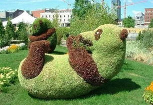 太妙了 雙桂公園明天整成這樣好看嗎