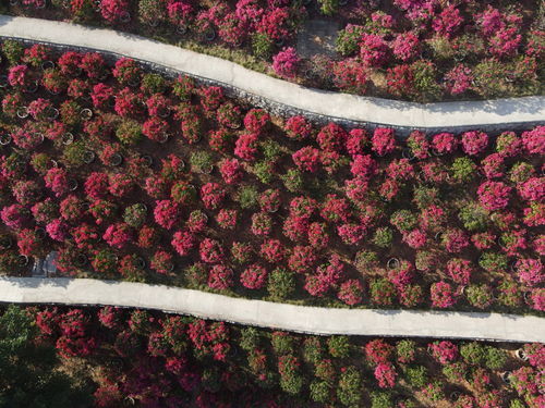 大美中國 壯美廣西1215丨晨沐桂北景色美