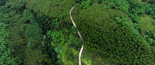 特輯 賞金掠食者年度圖片賞析
