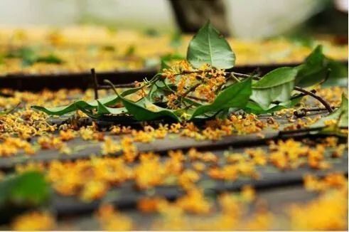 一入秋,杭州便成了臨安