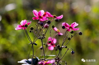 絕美的峽谷彩色的河