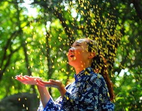 他們把 桂林 搬到北郊,讓大家免費游玩