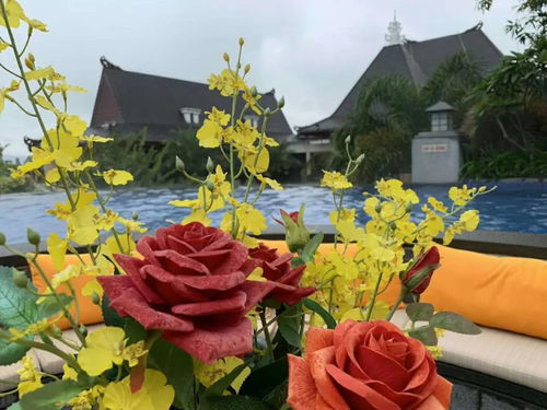 1月6日 198元 魅力山城 永春雪山醉風巖觀云海 天然溫泉沐浴 休閑汽車一日游