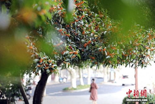 這個秋天來杭州與 詩畫江南 撞個滿懷