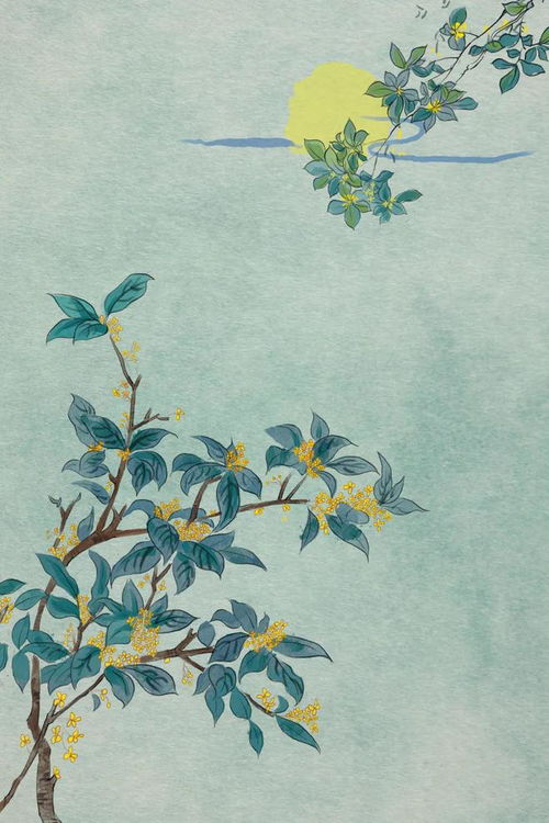 何須淺碧深紅色,自是花中第一流 10首桂花詩(shī)詞