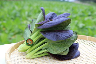 147沐豐園生態農產品