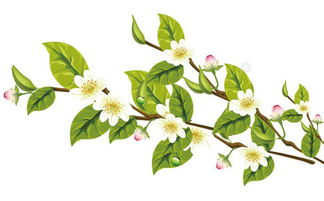 一個人的強大,就是能與不堪的人和事周旋