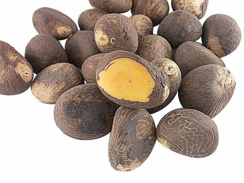 科普各種菩提子的名稱和相貌,超多大圖,別再認錯了