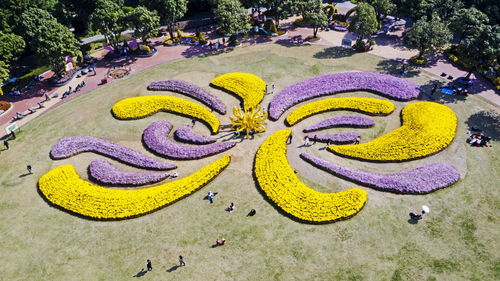 大美中國 壯美廣西1215丨晨沐桂北景色美