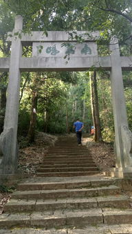 滿覺隴 十月桂花香 沐風蘭桂