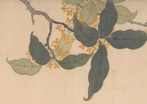 城管文化，沐風蘭桂 杭州初秋的桂花味與城市溫度