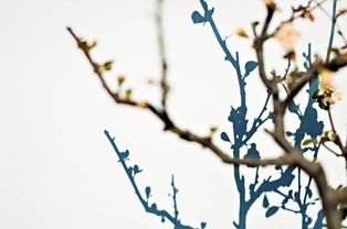 沐風蘭桂 在范瑋琪MV中邂逅暖心民宿與地道美食